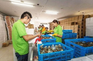 數(shù)字浪潮中的鄉(xiāng)村振興 電商交易額創(chuàng)新高，羽絨產(chǎn)品暢銷(xiāo)海外