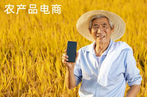推動農產品電商數字化改造 物流與經營雙輪驅動的農業新篇章